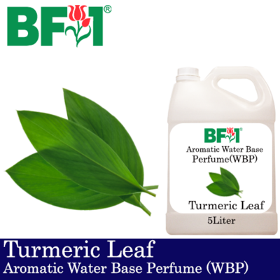 Aromatic Water Base Perfume (WBP) - Turmeric Leaf - 5L Diffuser Perfume