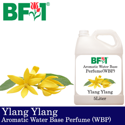 Aromatic Water Base Perfume (WBP) - Ylang Ylang - 5L Diffuser Perfume