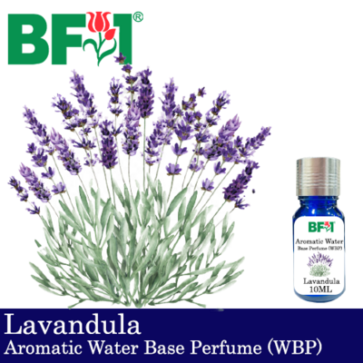 Aromatic Water Base Perfume (WBP) - Lavandula - 10ml Diffuser Perfume