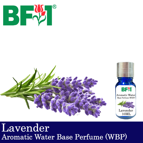 Aromatic Water Base Perfume (WBP) - Lavender - 10ml Diffuser Perfume