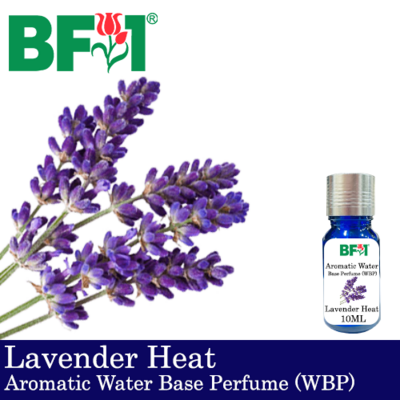 Aromatic Water Base Perfume (WBP) - Lavender Heat - 10ml Diffuser Perfume