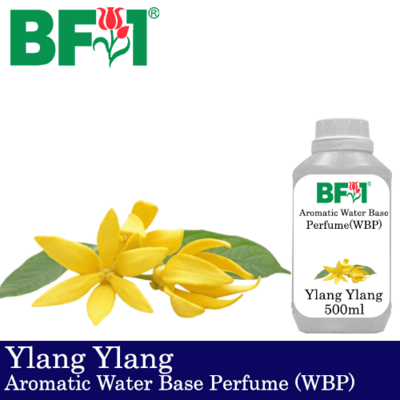 Aromatic Water Base Perfume (WBP) - Ylang Ylang - 500ml Diffuser Perfume