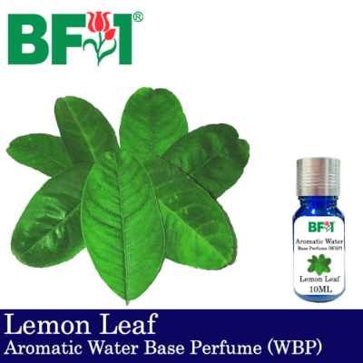 Aromatic Water Base Perfume (WBP) - Lemon Leaf - 10ml Diffuser Perfume