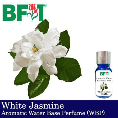 Aromatic Water Base Perfume (WBP) - Jasmine White Jasmine - 10ml Diffuser Perfume
