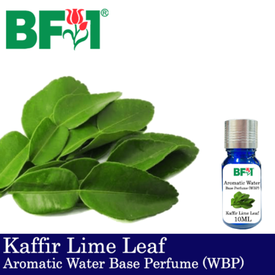 Aromatic Water Base Perfume (WBP) - Kaffir Lime Leaf - 10ml Diffuser Perfume