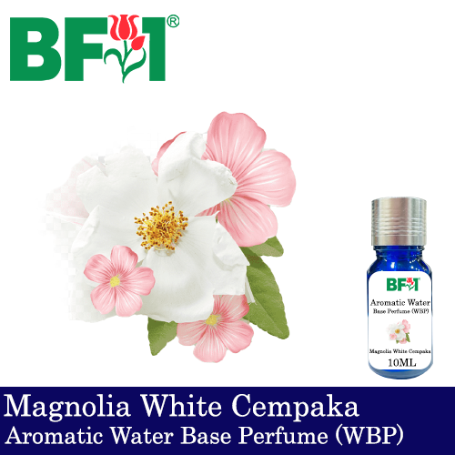 Aromatic Water Base Perfume (WBP) - Magnolia White Cempaka - 10ml Diffuser Perfume