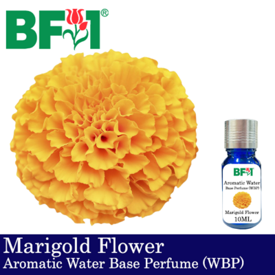 Aromatic Water Base Perfume (WBP) - Marigold Flower - 10ml Diffuser Perfume