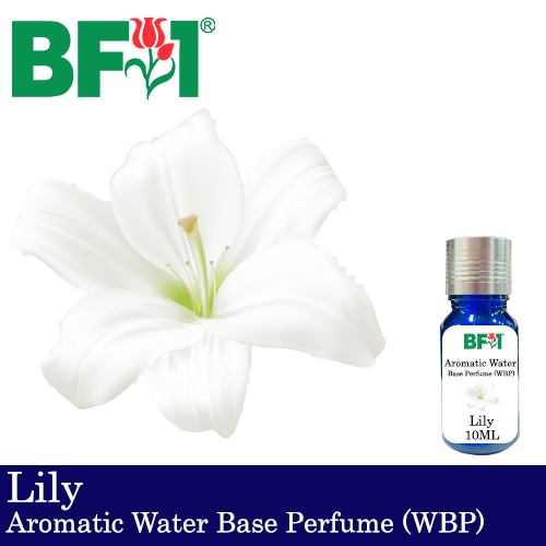 Aromatic Water Base Perfume (WBP) - Lily - 10ml Diffuser Perfume