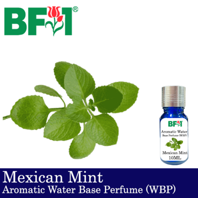 Aromatic Water Base Perfume (WBP) - Mexican Mint - 10ml Diffuser Perfume