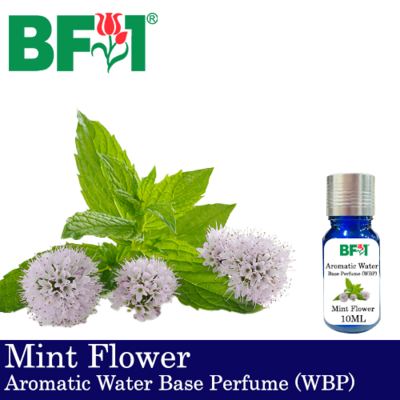 Aromatic Water Base Perfume (WBP) - Mint Flower - 10ml Diffuser Perfume