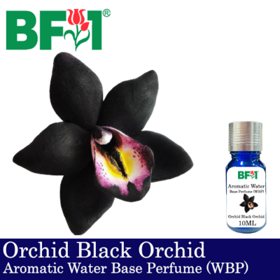 Aromatic Water Base Perfume (WBP) - Orchid Black Orchid - 10ml Diffuser Perfume