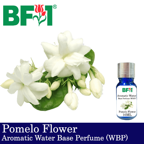 Aromatic Water Base Perfume (WBP) - Pomelo Flower - 10ml Diffuser Perfume