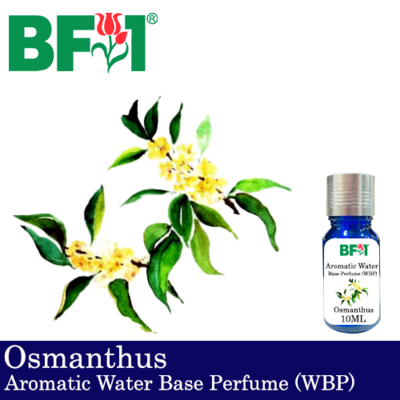 Aromatic Water Base Perfume (WBP) - Osmanthus - 10ml Diffuser Perfume