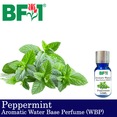 Aromatic Water Base Perfume (WBP) - Peppermint - 10ml Diffuser Perfume