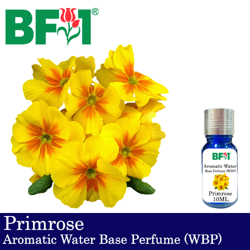 Aromatic Water Base Perfume (WBP) - Primrose - 10ml Diffuser Perfume