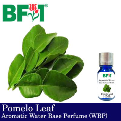 Aromatic Water Base Perfume (WBP) - Pomelo Leaf - 10ml Diffuser Perfume