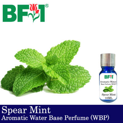 Aromatic Water Base Perfume (WBP) - Spear Mint - 10ml Diffuser Perfume