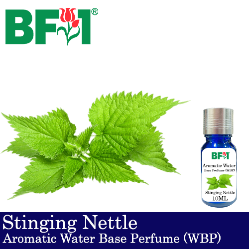 Aromatic Water Base Perfume (WBP) - Stinging Nettle - 10ml Diffuser Perfume