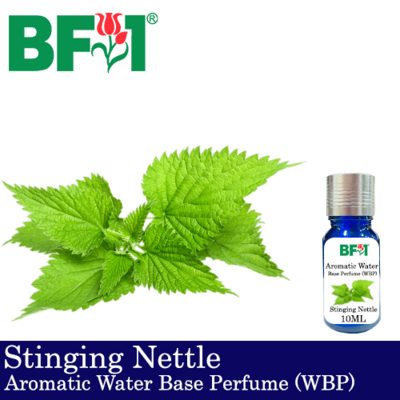 Aromatic Water Base Perfume (WBP) - Stinging Nettle - 10ml Diffuser Perfume