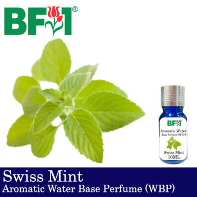 Aromatic Water Base Perfume (WBP) - Swiss Mint - 10ml Diffuser Perfume