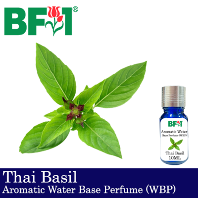 Aromatic Water Base Perfume (WBP) - Thai Basil - 10ml Diffuser Perfume