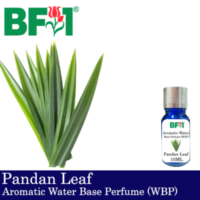 Aromatic Water Base Perfume (WBP) - Pandan Leaf - 10ml Diffuser Perfume