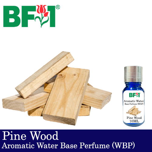 Aromatic Water Base Perfume (WBP) - Pine Wood - 10ml Diffuser Perfume