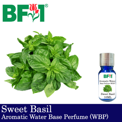 Aromatic Water Base Perfume (WBP) - Sweet Basil - 10ml Diffuser Perfume