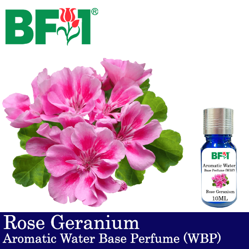 Aromatic Water Base Perfume (WBP) - Rose Geranium - 10ml Diffuser Perfume