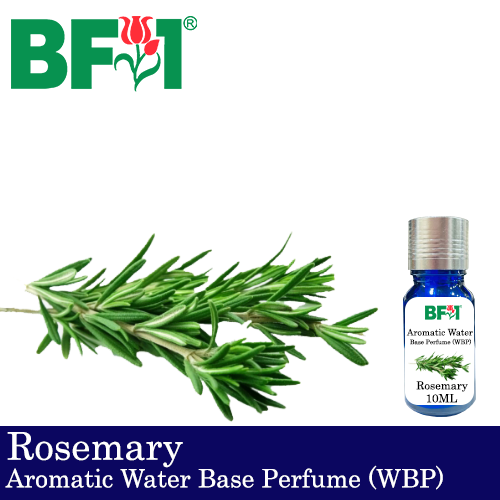 Aromatic Water Base Perfume (WBP) - Rosemary - 10ml Diffuser Perfume