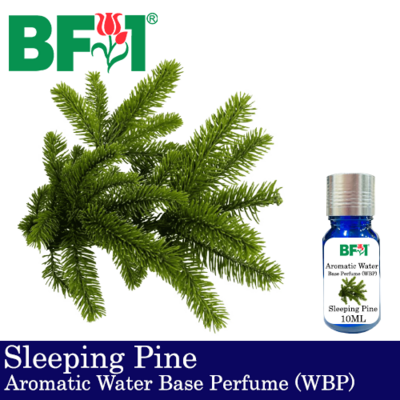 Aromatic Water Base Perfume (WBP) - Sleeping Pine - 10ml Diffuser Perfume