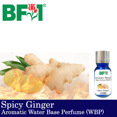 Aromatic Water Base Perfume (WBP) - Spicy Ginger - 10ml Diffuser Perfume