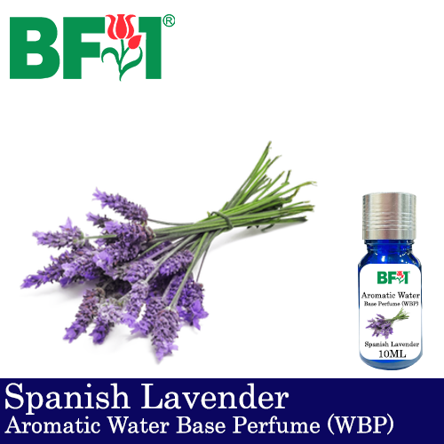 Aromatic Water Base Perfume (WBP) - Spanish Lavender - 10ml Diffuser Perfume