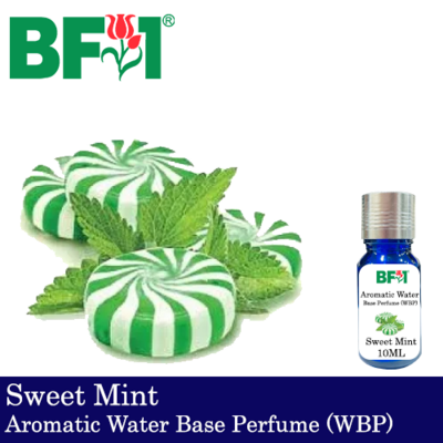 Aromatic Water Base Perfume (WBP) - Sweet Mint - 10ml Diffuser Perfume