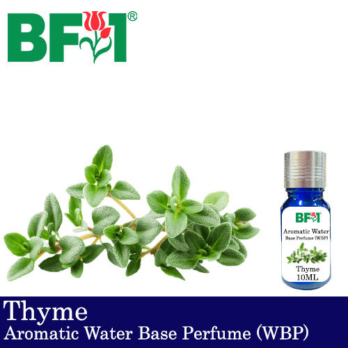 Aromatic Water Base Perfume (WBP) - Thyme - 10ml Diffuser Perfume