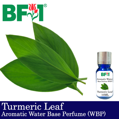 Aromatic Water Base Perfume (WBP) - Turmeric Leaf - 10ml Diffuser Perfume