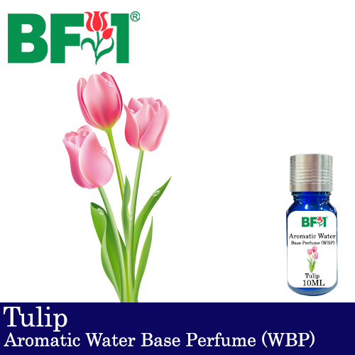 Aromatic Water Base Perfume (WBP) - Tulip - 10ml Diffuser Perfume
