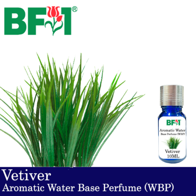Aromatic Water Base Perfume (WBP) - Vetiver - 10ml Diffuser Perfume