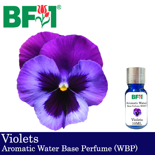 Aromatic Water Base Perfume (WBP) - Violets - 10ml Diffuser Perfume