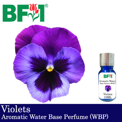 Aromatic Water Base Perfume (WBP) - Violets - 10ml Diffuser Perfume