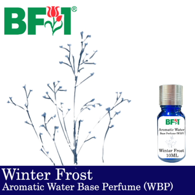 Aromatic Water Base Perfume (WBP) - Winter Frost - 10ml Diffuser Perfume