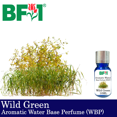 Aromatic Water Base Perfume (WBP) - Wild Green - 10ml Diffuser Perfume