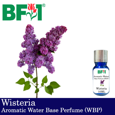 Aromatic Water Base Perfume (WBP) - Wisteria - 10ml Diffuser Perfume