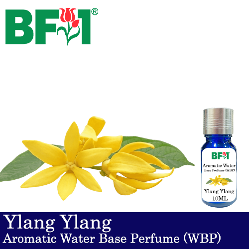 Aromatic Water Base Perfume (WBP) - Ylang Ylang - 10ml Diffuser Perfume