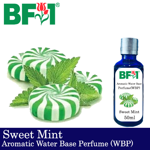 Aromatic Water Base Perfume (WBP) - Sweet Mint - 50ml Diffuser Perfume