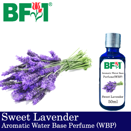 Aromatic Water Base Perfume (WBP) - Sweet Lavender - 50ml Diffuser Perfume