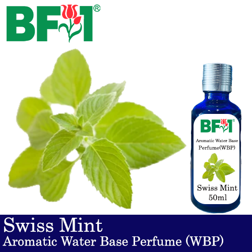 Aromatic Water Base Perfume (WBP) - Swiss Mint - 50ml Diffuser Perfume
