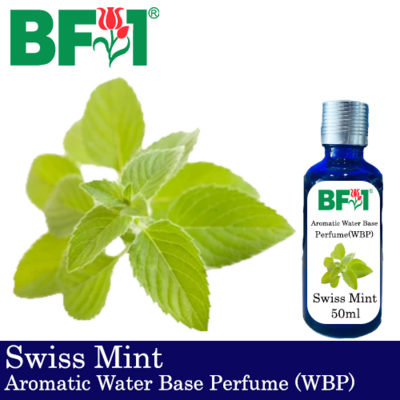 Aromatic Water Base Perfume (WBP) - Swiss Mint - 50ml Diffuser Perfume