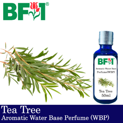 Aromatic Water Base Perfume (WBP) - Tea Tree - 50ml Diffuser Perfume