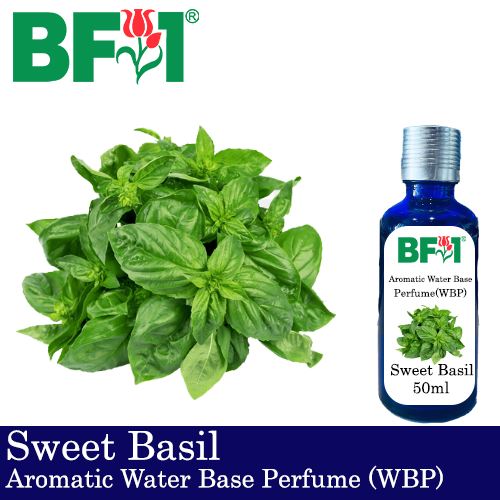 Aromatic Water Base Perfume (WBP) - Sweet Basil - 50ml Diffuser Perfume